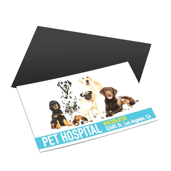 Magnet cards for Pet Hospital