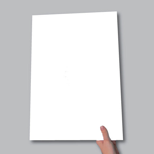 Demonstrating 13x19 print size
