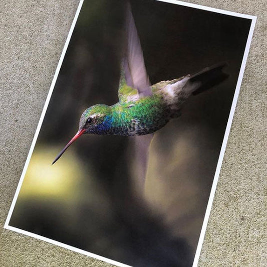 Why Artists Love Selling 13×19 Art Prints