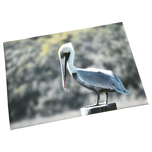 Large wildlife photography print