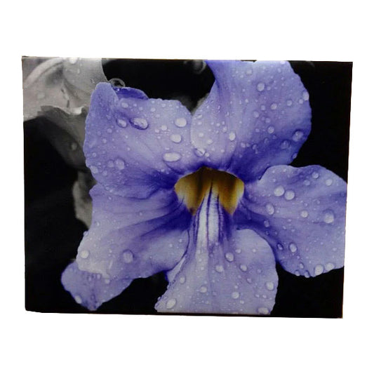 Nature photo as stretched canvas