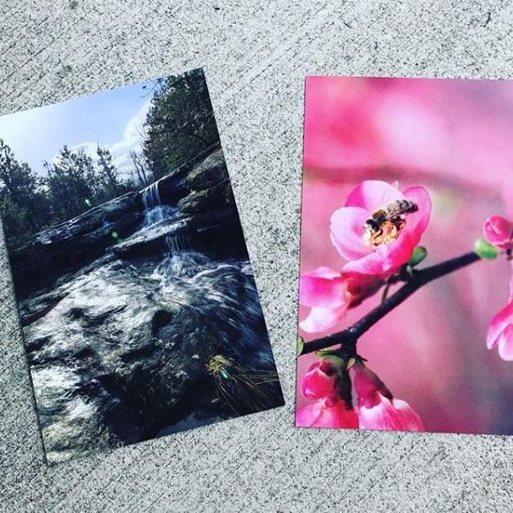 Nature photographs printed on cards