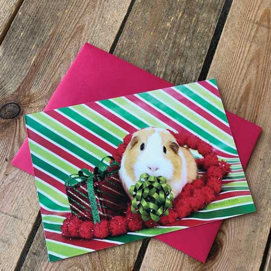 Cheap Holiday Card Printing – Printkeg