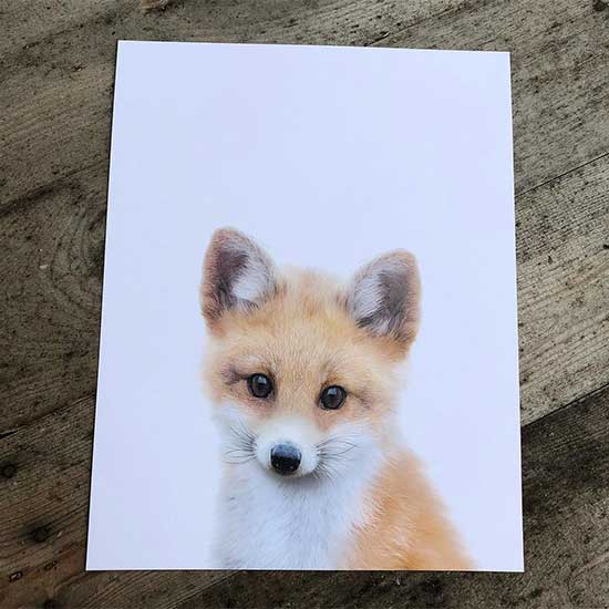 A cute little fox print. Art by Tom Burnett